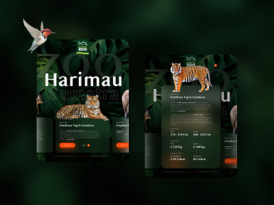 Zoo Mobile Application UI Design