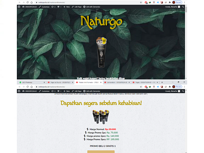 Landing Page - Naturgo (Orderpedia.id) branding design icon typography ui ux