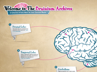 Brain Infographic Slide 1 blue brain chart infographic pink