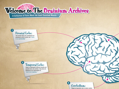 Brain Infographic Slide 1