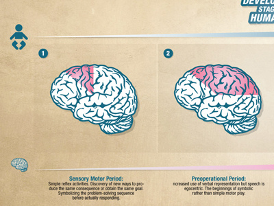 Brain Infographic Slide 2 view 1 blue brain chart infographic pink slide
