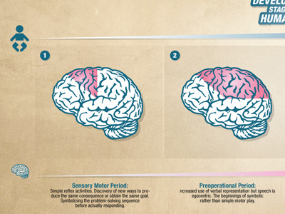 Brain Infographic Slide 2 view 1