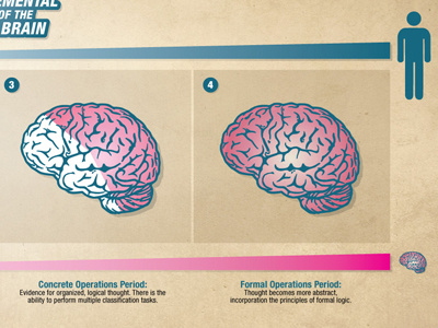 Brain Infographic Slide 2 view 2 blue brain chart infographic pink
