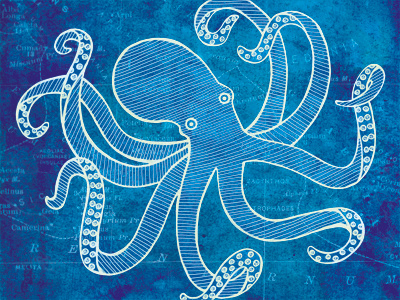 Octopus aquatic art aquatic series blueprint illustration nautical nautical art nautical map nautical theme ocean art octopus octopus art