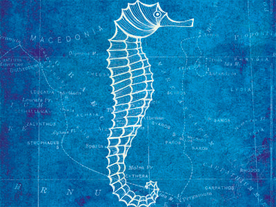 Seahorse aquatic art aquatic series blueprint illustration nautical nautical art nautical map nautical theme ocean art seahorse seahorse art