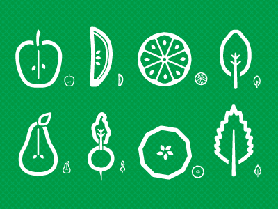 Fruit & Veggie Icons