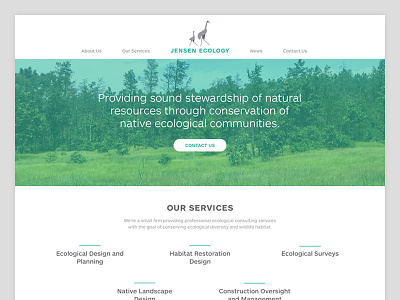 Jensen Ecology: Home Page architecture clean ecology environment green landscape web