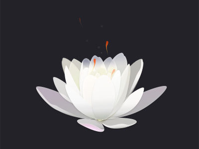 New Shot - 10/20/2015 at 06:55 AM lotus