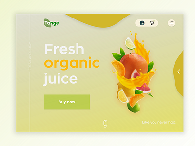 Organic juice website design fruit juice online ui website