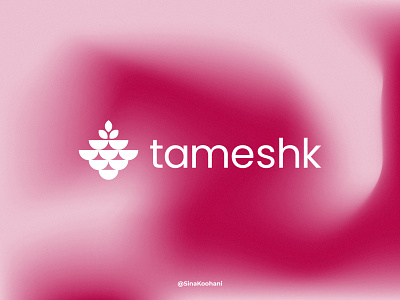 tameshk Branding Design branding brandingidentitydesigner design graphic design idendtitydesigner illustration logo minimalism minimallogo vector visualdesign