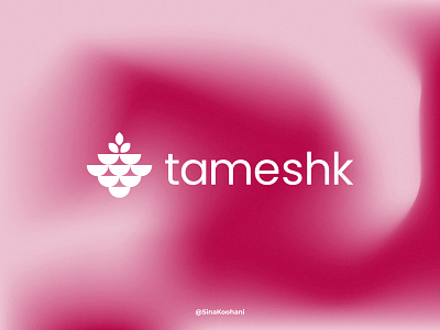 tameshk Branding Design