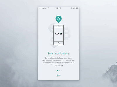 Financial App Onboarding by Lina Seleznyova for Agilie Team