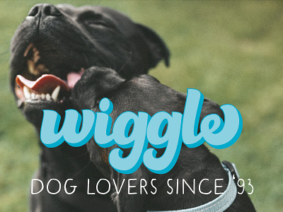 Wiggle branding graphic design logo