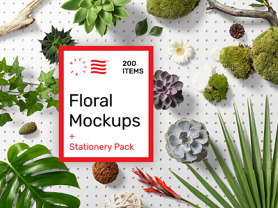 Mr.Mockup - Floral Mockups branding bundle floral identity logo mockup monstera palm plant psd stationery template