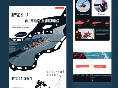 Landing Page for Cruises on Nuclear Icebreaker design minimalism minimorphism web