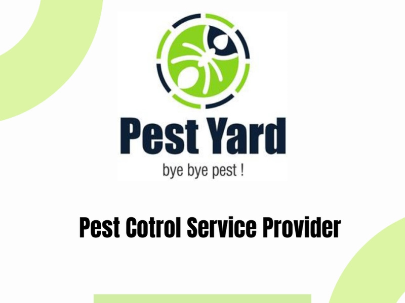 Cockroaches Ants Control Services in Pune by pestyard Pest Control Service Provider on Dribbble