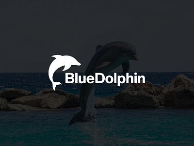 DOLPHIN design dolphin logo logo design logomark simple