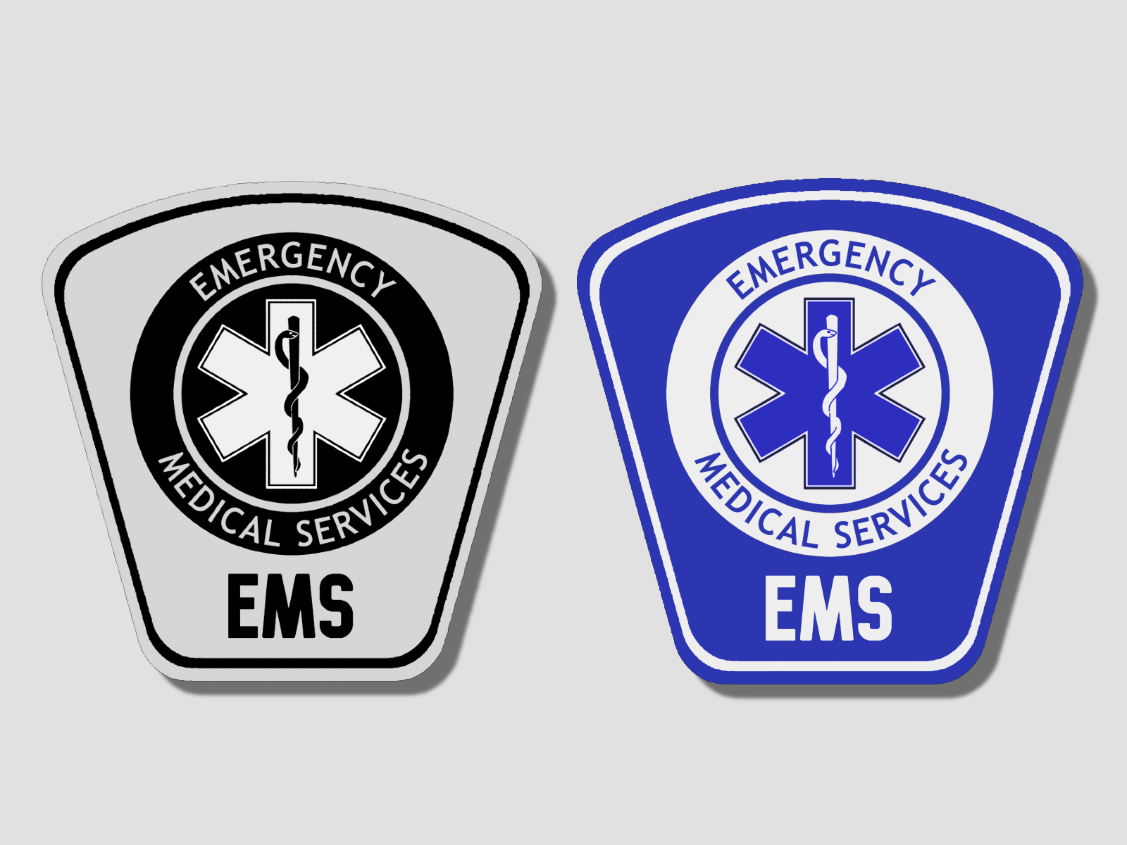 EMS BADGE by Magma on Dribbble