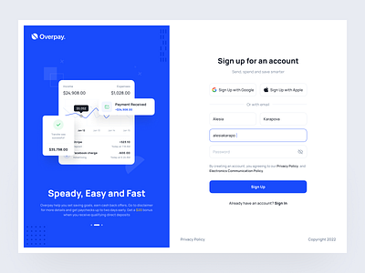 Overpay - Finance Dashboard UI Kit chart design finance financial fintech illustration ios login mobile register sign in sign up ui ui8 uidesign uikit ux web web design website