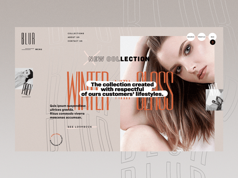Blur Fshn [2] artwork creative design fashion graphic interface ropa site ui ux wear website
