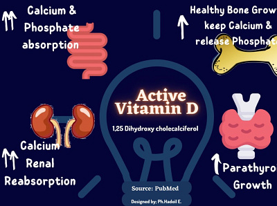 Vitamin D cue card or mini-map animation graphic design logo motion graphics