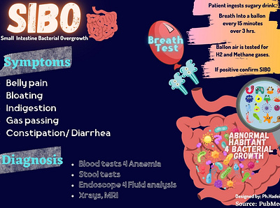 SIBO Flashcard or simple Mindmap- medical animation graphic design illustration logo ui