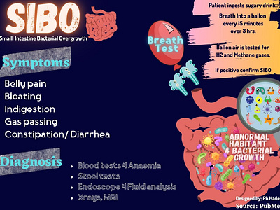 SIBO Flashcard or simple Mindmap- medical animation graphic design illustration logo ui