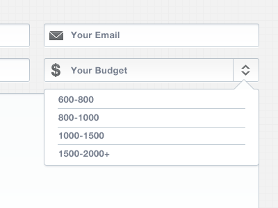 Your Budget drop down input fields sexy your budget