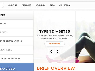 Type 1 Diabetes