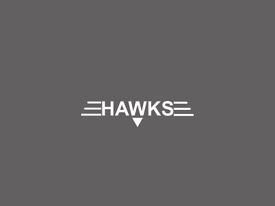 Hawks branding design graphic design icon illustration logo typography vector