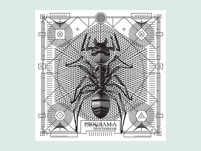 Space Ant black illustration insect lines noblanco postcard