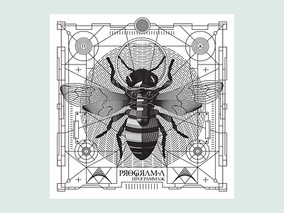 Space Bee black illustration insect lines noblanco postcard