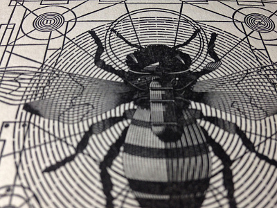 Bee . Postal bee black cono illustration letterpress line noblanco programa space vector