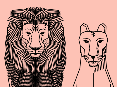 couple female illustration lines lions male noblanco pink vector