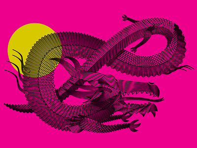 Dragon ampersand dragon eight fucsia illustration lines noblanco pink tail vector yellow