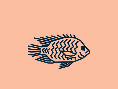 Tilapia blue fish illustration lines pink tilapia