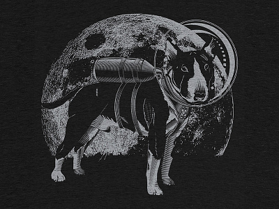 Volodya is back! animal astronaut dog grey illustration space