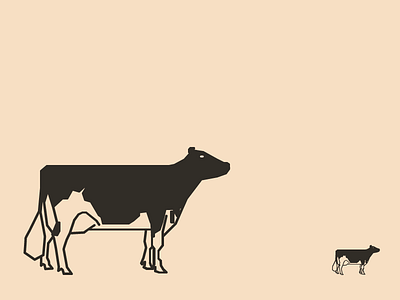 Holstein Cow