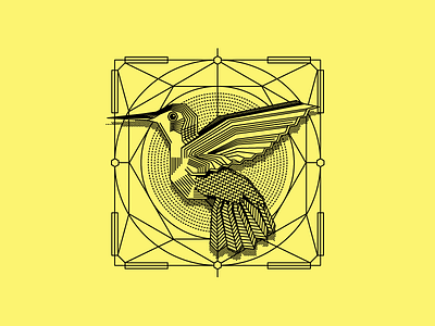 Hummingbird bird black geometric hummingbird illustration lines yellow