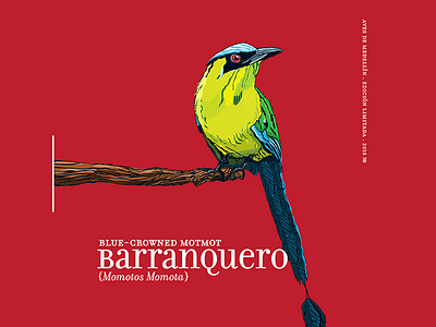 Calendar 2018 02 bird calendar2018 green illustration noblanco red vectors yellow