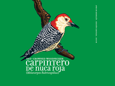 Calendar 2018 05 bird calendar2018 green illustration noblanco red vectors