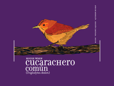 Calendar 2018 06 bird brown calendar2018 illustration noblanco purple vectors