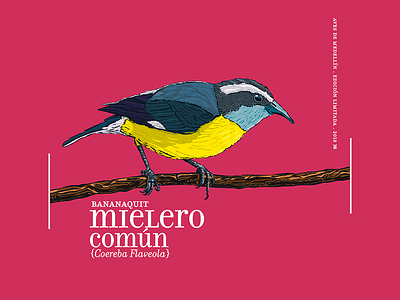 Calendar 2018 07 bird blue calendar2018 illustration magenta noblanco vectors
