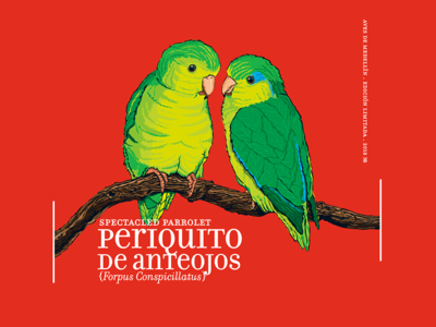 Calendar 2018 08 bird blue calendar2018 green illustration noblanco red vectors