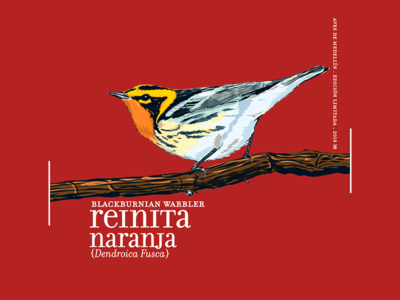Calendar 2018 11 bird calendar2018 illustration noblanco red vectors white yellow