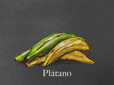 Miniature 02 colombia digitalpainting exotic fruit miniature tropic