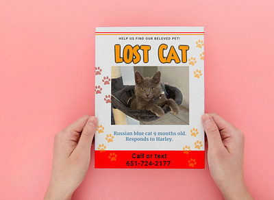 Cat lost poster design event flyer flyer illustration poster