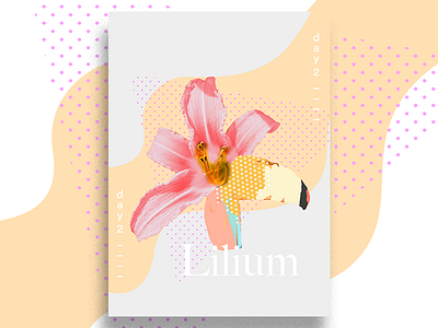 Lilium #V2 art color design freelance poster typography