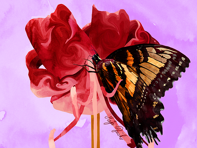 butterfly branding by maja pučko design graphic design illustration
