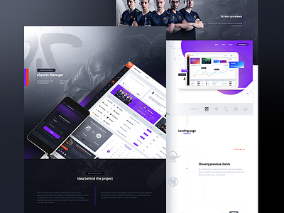 eSports Manager - Presentation csgo dashboard ecommerce finance gaming graph logo management paypal ux